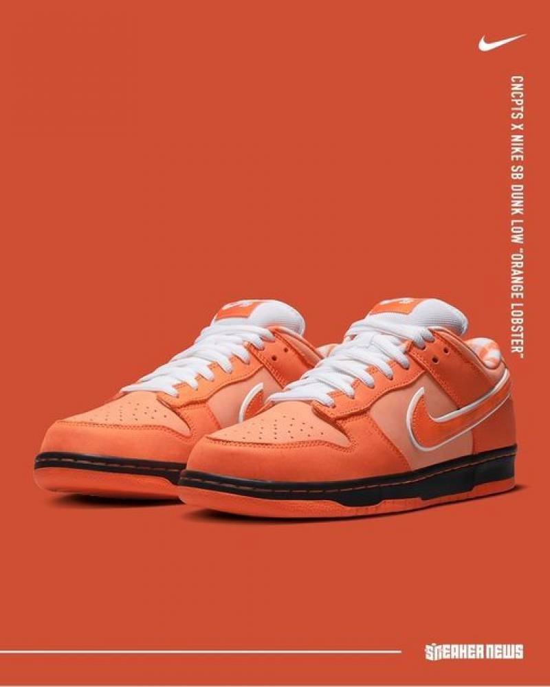 Concepts x dunk low sb orange lobster With Band