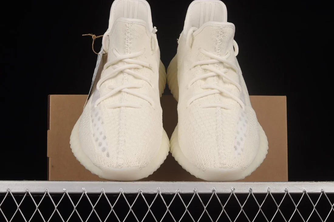 Yeezy boost 350 V2