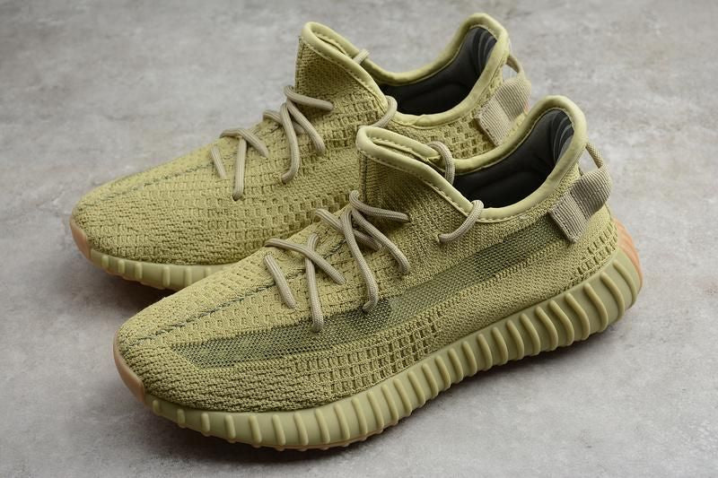 Yeezy boost 350 V2