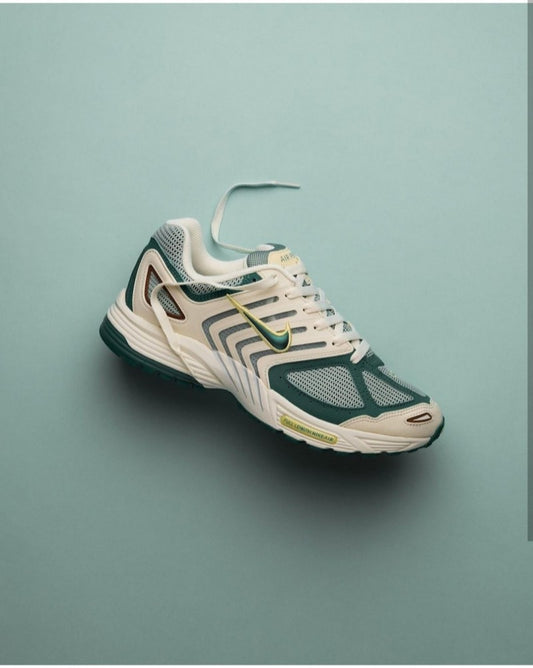 Nikee Air Pegasus 2005 bicoastal(169