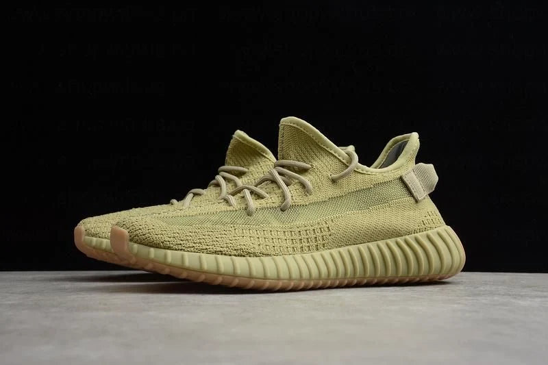 Yeezy boost 350 V2