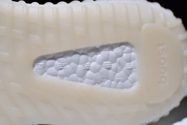 Yeezy boost 350 V2