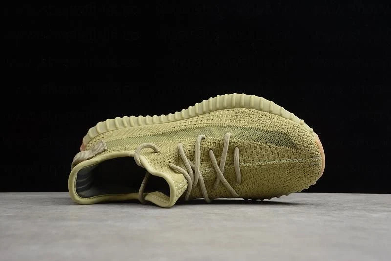 Yeezy boost 350 V2