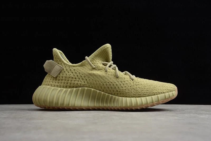 Yeezy boost 350 V2